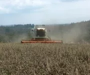 Agrarwirtschaft