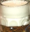 Bier