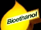 Bioenergie