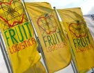 Fruit Logistica 2008